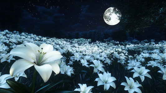 Moonflower Nectar 12oz candle